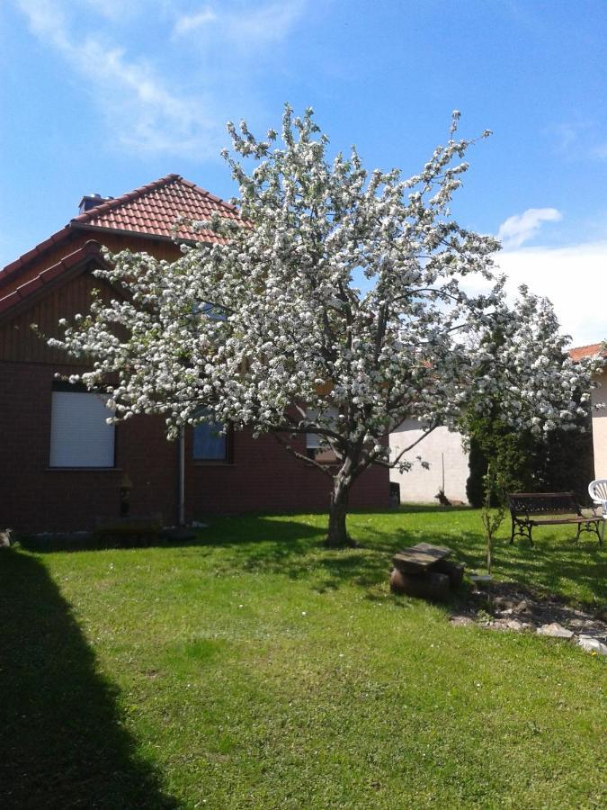 Ferienwohnung Relax Илзенбург Екстериор снимка