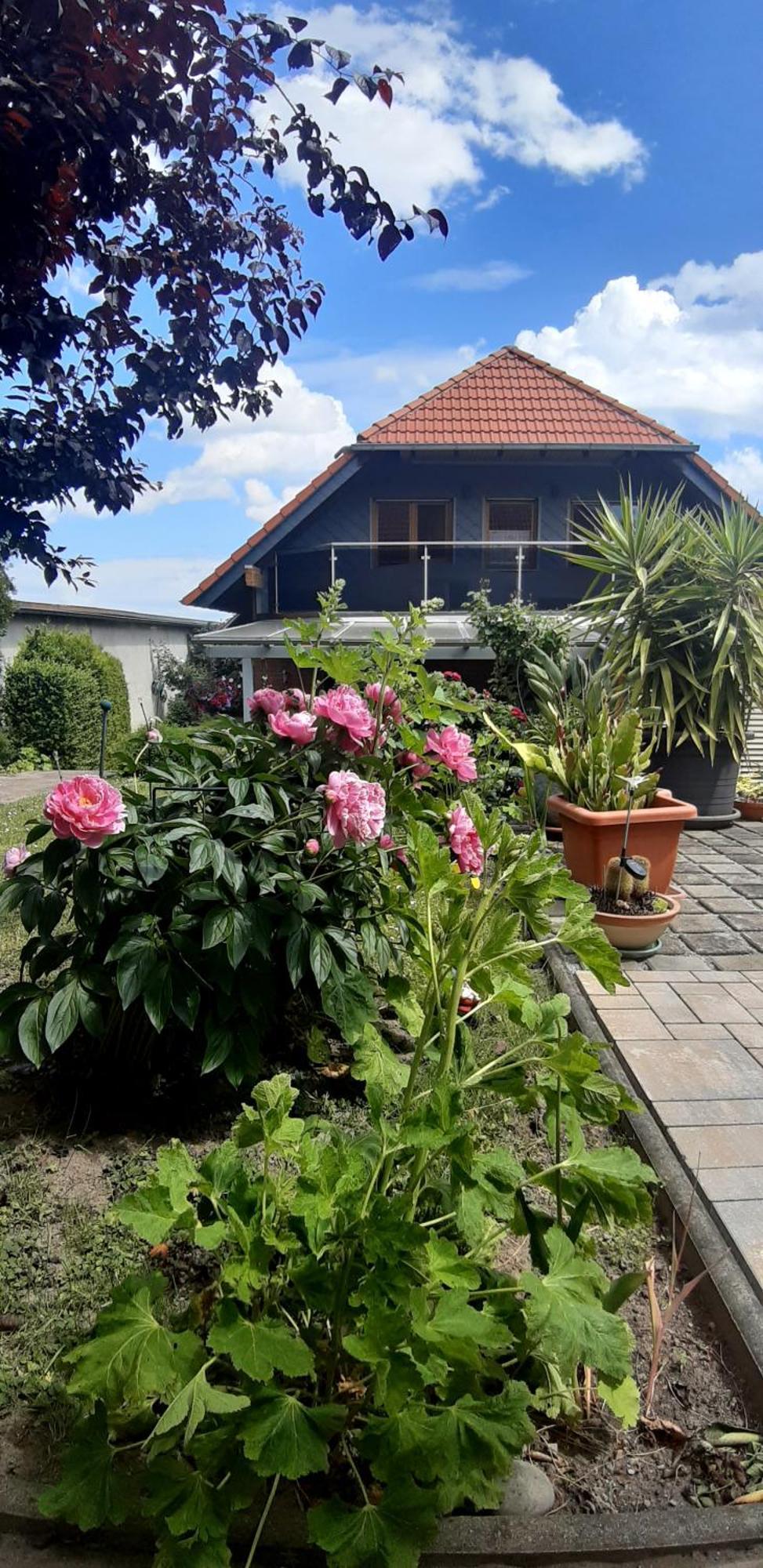 Ferienwohnung Relax Илзенбург Екстериор снимка